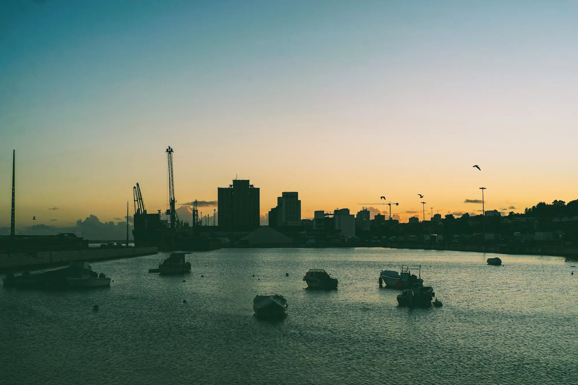 Lisbon Photo